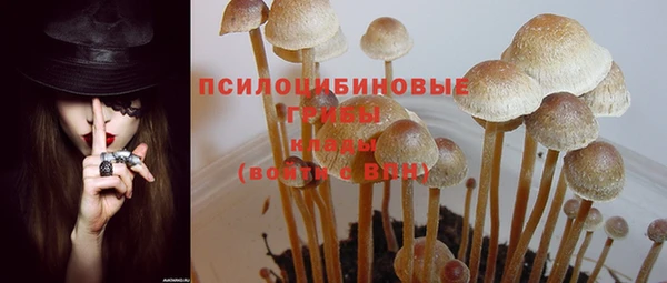 хмурый Богородск