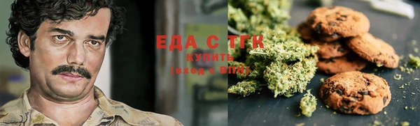 дмт Богородицк