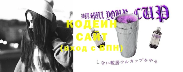 хмурый Богородск