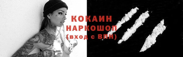 дмт Богородицк