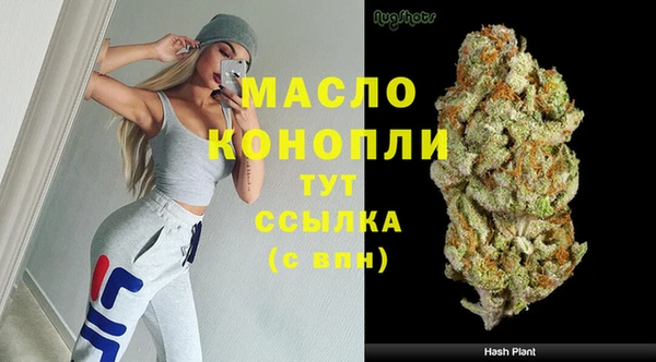 дмт Богородицк