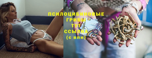 хмурый Богородск