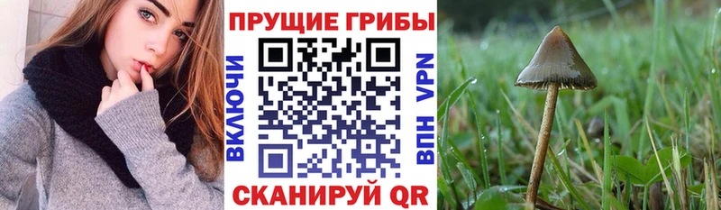 Псилоцибиновые грибы мухоморы  Боровск 